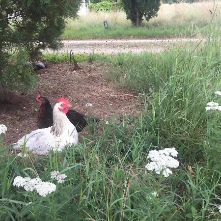Le Domaine De Claras Cazideroque