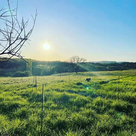 Le Domaine De Claras