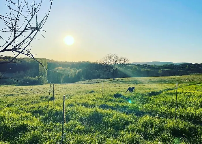 Le Domaine De Claras